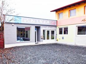 Prodej, obchod a služby, 140 m2, Olomouc, ul. Přerovská