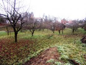 Prodej, stavební pozemek, Voděrady