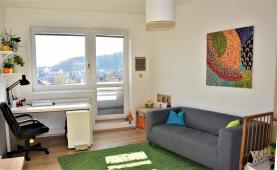 Prodej, byt 1+kk, 30 m2, Brno, ul. Rybářská