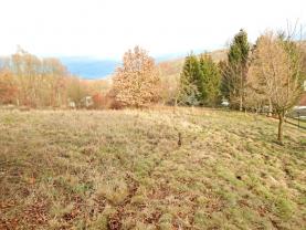 Prodej, stavební pozemek, 2478 m2, Č. Kamenice - Kerhartice