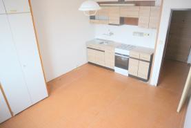 Prodej, byt 1+1, 40 m2, Klatovy, ul. Suvorovova