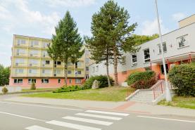 Pronájem, domov mládeže, 300 m2, Šilheřovice