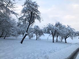 Prodej, stavební parcela, Řečice