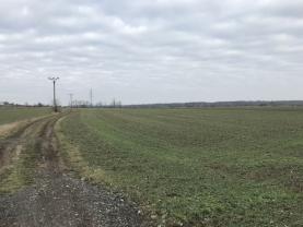 Prodej, pole, 16095 m2, Charvátská Nová Ves