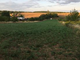 Prodej, stavební parcela, Radostice, ul. Hlavní