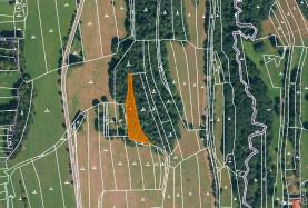 Prodej, les, 1745 m2, Drnovice u Valašských Klobouk