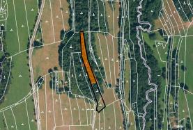 Prodej, les, 3204 m2, Drnovice u Valašských Klobouk