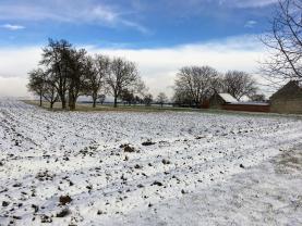 Prodej, pozemek, 1533 m2, Dubčany