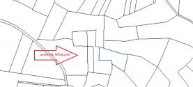 Prodej, les, 3852 m2, Milejovice