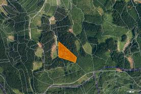 Prodej, les, 16652 m2, Lhota u Vsetína