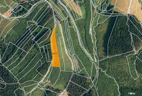 Prodej, les, 5445 m2, Lhota u Vsetína