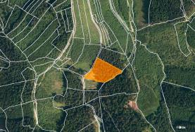 Prodej, les, 7226 m2, Lhota u Vsetína