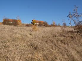Prodej, stavební pozemek, 364 m2, Plasy, ul. Krátká