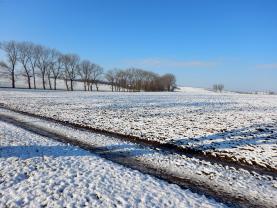 Prodej, pole, 30 570 m2, Luboměř