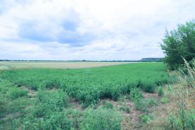 Prodej, stavební pozemek, 2650 m2, Dolní Beřkovice