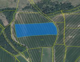 Prodej, pole, 31541 m2, Vodní Újezd, Dobřany