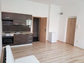Pronájem, byt 1+kk, 29 m2, Ostrava, ul. Husova