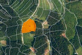 Prodej, les, 12578 m2. Lhota u Vsetína