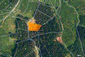 Prodej, les, 2930 m2, Lhota u Vsetína