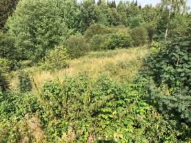 Prodej, stavební pozemek, 400 m2, Český Jířetín