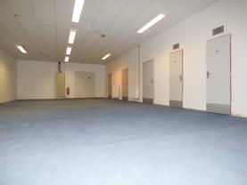 Pronájem, komerční prostory, 207 m2, Opava - Předměstí
