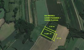 Prodej, les, 5481 m2, Bernartice nad Odrou
