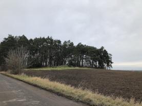 Prodej, les, 2187 m2, Slatiňany, Kunčí