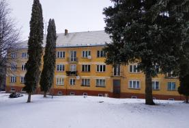 Prodej, byt 3+1, 60 m2, Plesná