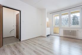 Prodej, byt 1+kk, 25 m2, OV, Přerov, ul. Trávník