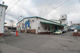 Pronájem, autoservis 300 m2, Praha 9 - Vysočany
