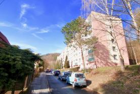 Prodej, byt, 2+1, 62 m2, ul. Nálepkova, Bynov