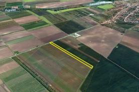 Prodej, vinice, Velké Bílovice