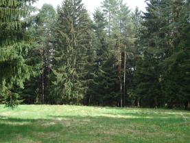 Prodej, pozemek, 4316 m2, Kameničky