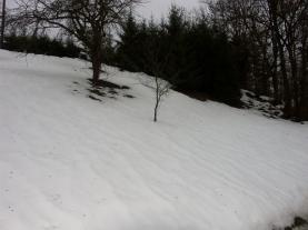 Prodej, zahrada, 1385 m2, Liberk