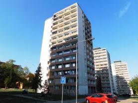 Pronájem, byt 1+kk, 22 m2, Most ul. M.G. Dobnera