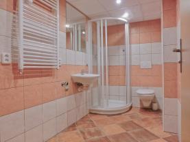 Pronájem, byt 1+kk, 35 m², Praha-Nové Město