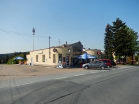 Prodej, restaurace, Borovno