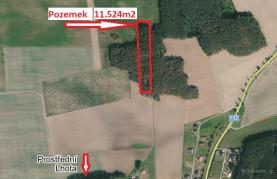 Prodej, lesní pozemek, 11524 m2, Chotilsko - Přbram