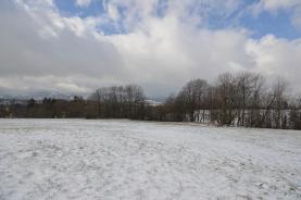 Prodej, louka, 2944m2, Bystřice