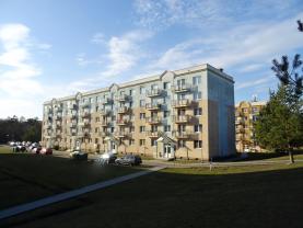 Pronájem, byt 2+1, Luštěnice, ul. Zelená