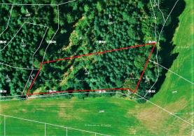 Prodej, les, 3920 m2, Hromnice