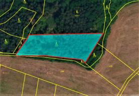 Prodej, les, 3920 m2, Hromnice