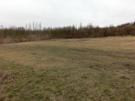 Prodej, stavební pozemek, 1260 m2, Malé Březno