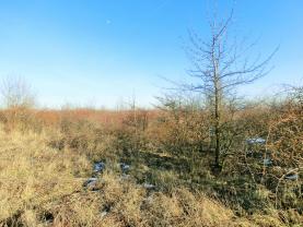 Prodej, stavební parcela, 800 m2, Litvínov
