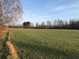 Prodej, stavební pozemek, Horní Domaslavice