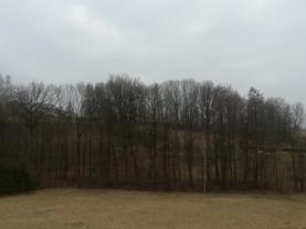 Prodej, les, 2539 m2, Ostrava - Radvanice