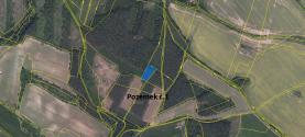 Prodej, les, 16 261 m2, Manětín - Luková