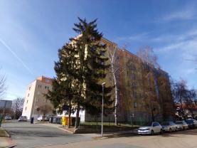 Prodej, byt 2+kk, 52 m2, Plzeň, ul. Malesická
