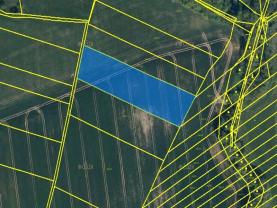 Prodej, pole, 6720 m2, Zástřizly