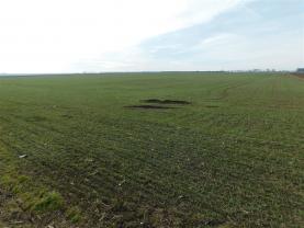 Prodej, stavební pozemek, 6258 m2, Rajhrad